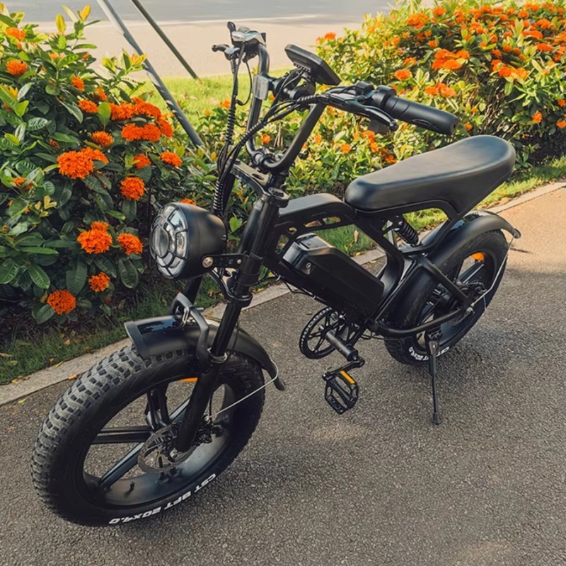 YTYIN 2024 Made In China Facto - Folding Electric Scooter review and price