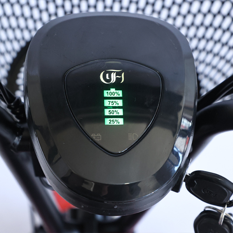 NEW Adult Tricycle Travel Pare - Folding Electric Scooter review and price